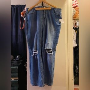 plus size eloquii jeans